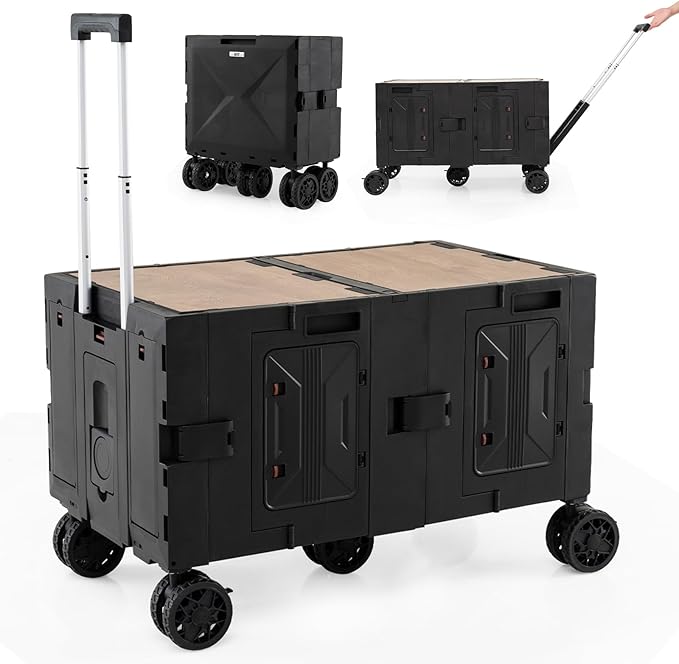 Carts & Stands