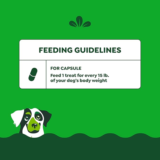 Greenies Pill Pockets for Dogs, Large Size Soft Dog Treats, Chicken Flavor 15.8 oz. Pouch