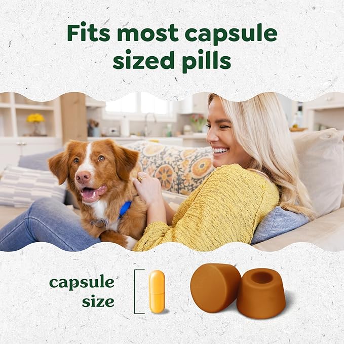 Greenies Pill Pockets for Dogs, Large Size Soft Dog Treats, Chicken Flavor 15.8 oz. Pouch