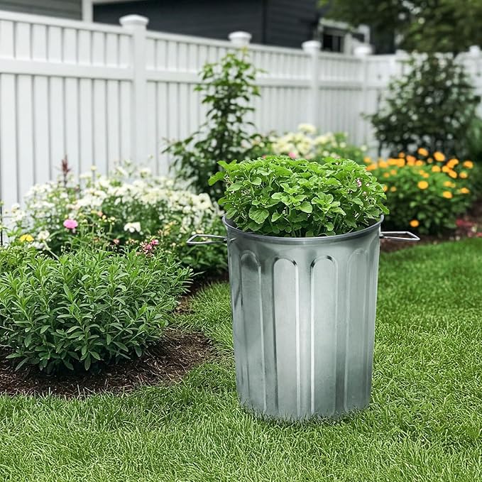 Plexon 5 Gallon Small Metal Trash Can with Lid Outdoor Galvanized Bucket with Lid 5 Gal Fireplace Ash Bucket for Wood Stove Storage Can for Dog Food Bird Seed Storage Container Rodent Pet Proof 3 Pack