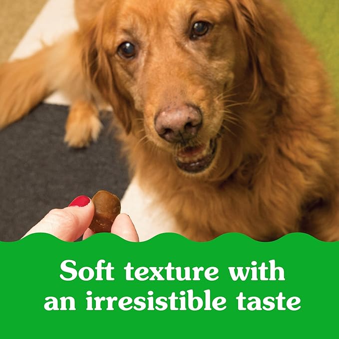 Greenies Pill Pockets for Dogs, Large Size Soft Dog Treats, Chicken Flavor 15.8 oz. Pouch