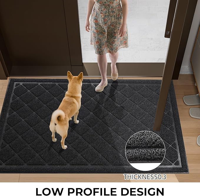 Front Door Mat Indoor Outdoor Entrance, 30" x 48" All-Season Heavy Duty Waterproof Doormat, Non-Slip Absorbent Entryway Mat, Easy to Clean, Low Profile Commercial Floor Mat for Indoor Outdoor