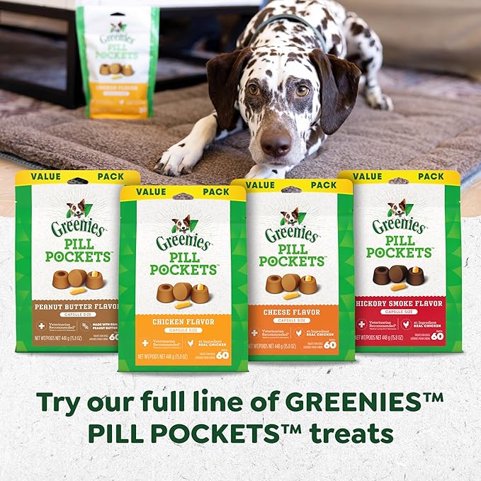 Greenies Pill Pockets for Dogs, Large Size Soft Dog Treats, Chicken Flavor 15.8 oz. Pouch